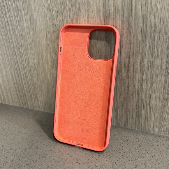 iPhone 13 Pro Max Apple Case - Picture 3 of 5